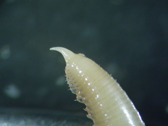 f:id:xnissy:20110125142404j:image:w320 f:id:xnissy:20110125142404j:image:w320