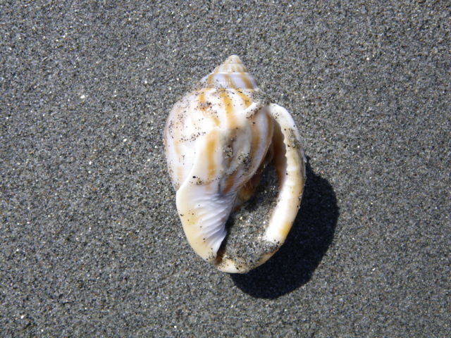 f:id:xnissy:20110305131427j:image:w320