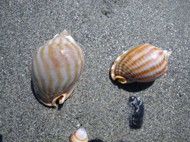 f:id:xnissy:20110404125606j:image:w320