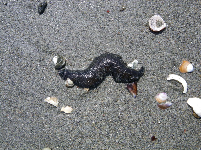 f:id:xnissy:20110404130927j:image:w320