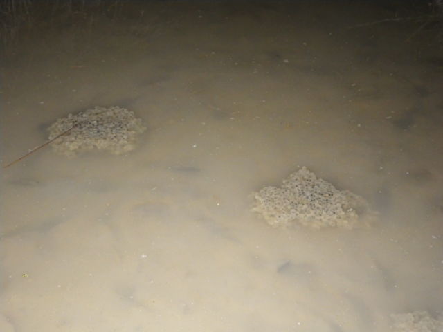 f:id:xnissy:20130202215136j:image:w320