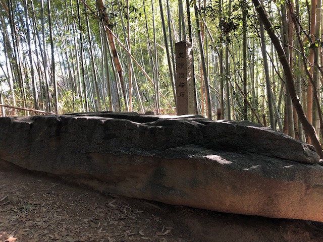 f:id:xnorico:20190617234645j:plain f:id:xnorico:20190617234645j:plain