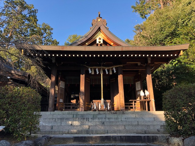 f:id:xnorico:20190619231444j:plain f:id:xnorico:20190619231444j:plain