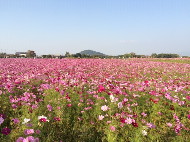 f:id:xnorico:20190624233934j:plain f:id:xnorico:20190624233934j:plain