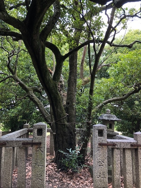 藤原京跡