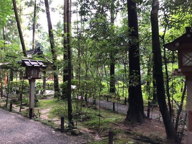 f:id:xnorico:20190703133301j:plain f:id:xnorico:20190703133301j:plain