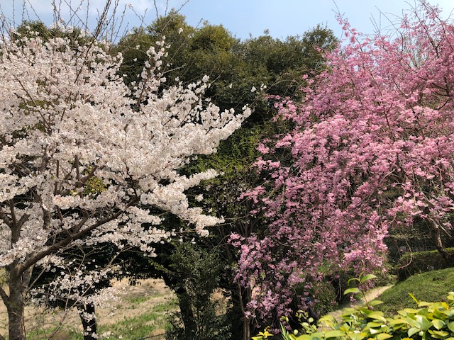 f:id:xnorico:20190705012747j:plain f:id:xnorico:20190705012747j:plain