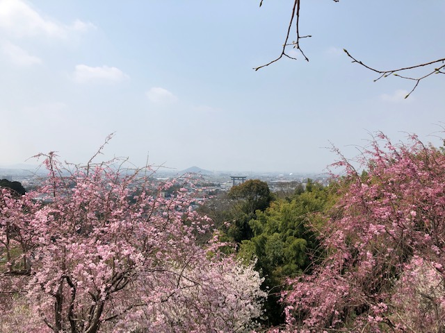 f:id:xnorico:20190705012923j:plain f:id:xnorico:20190705012923j:plain