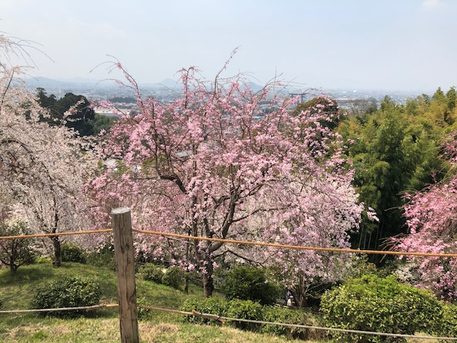 f:id:xnorico:20190705013120j:plain f:id:xnorico:20190705013120j:plain