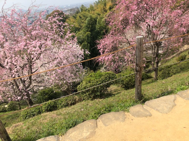 f:id:xnorico:20190705013139j:plain f:id:xnorico:20190705013139j:plain