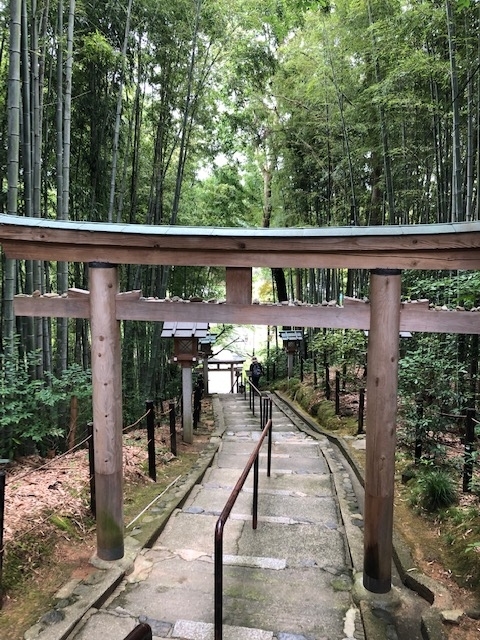f:id:xnorico:20190705014057j:plain f:id:xnorico:20190705014057j:plain