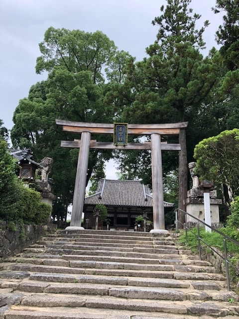 f:id:xnorico:20190705014449j:plain f:id:xnorico:20190705014449j:plain