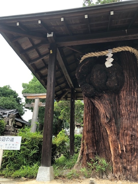 f:id:xnorico:20190705014523j:plain f:id:xnorico:20190705014523j:plain