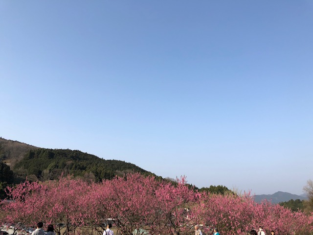 f:id:xnorico:20190707011427j:plain f:id:xnorico:20190707011427j:plain