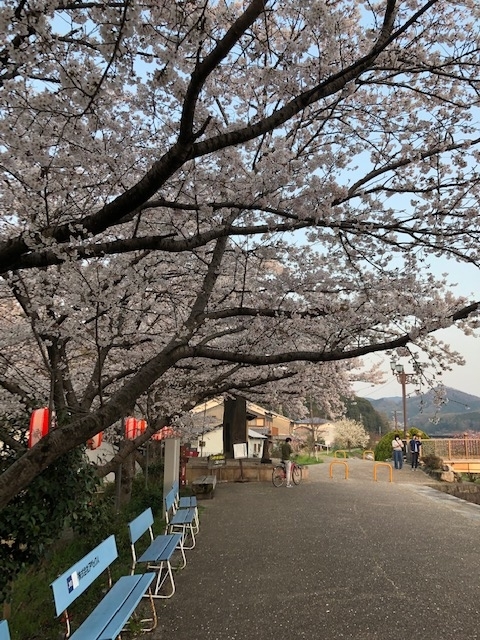 f:id:xnorico:20190707224424j:plain f:id:xnorico:20190707224424j:plain