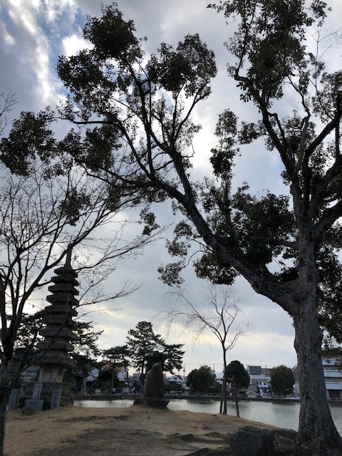 f:id:xnorico:20190709002825j:plain f:id:xnorico:20190709002825j:plain