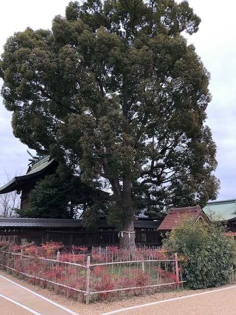 f:id:xnorico:20190709233255j:plain f:id:xnorico:20190709233255j:plain