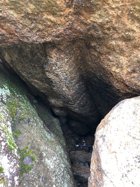 f:id:xnorico:20190709234542j:plain f:id:xnorico:20190709234542j:plain