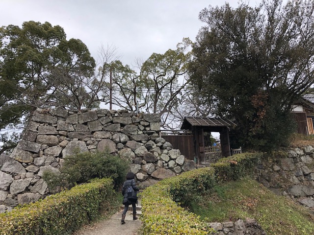 f:id:xnorico:20190710134053j:plain f:id:xnorico:20190710134053j:plain