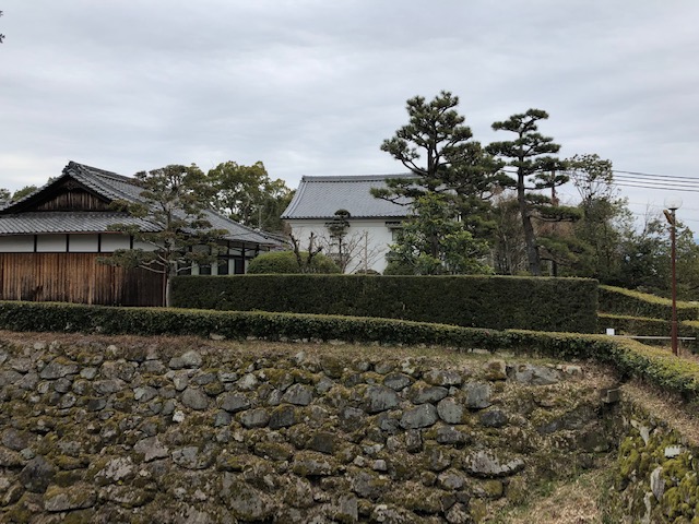 f:id:xnorico:20190710134228j:plain f:id:xnorico:20190710134228j:plain