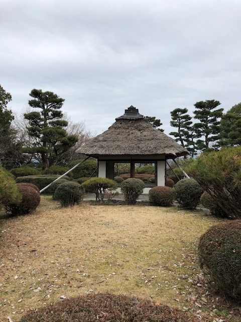 f:id:xnorico:20190710134257j:plain f:id:xnorico:20190710134257j:plain