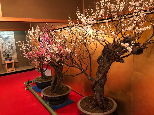 f:id:xnorico:20190710135359j:plain f:id:xnorico:20190710135359j:plain