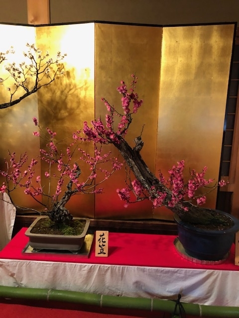 f:id:xnorico:20190710135500j:plain f:id:xnorico:20190710135500j:plain