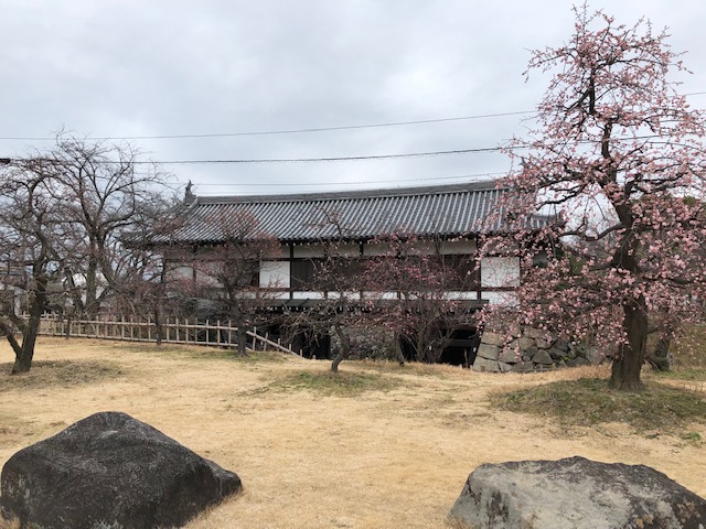 f:id:xnorico:20190710135804j:plain f:id:xnorico:20190710135804j:plain