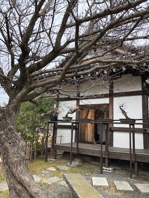 f:id:xnorico:20190710140305j:plain f:id:xnorico:20190710140305j:plain