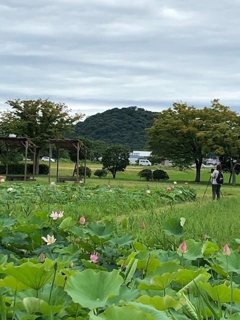 f:id:xnorico:20190711202341j:plain f:id:xnorico:20190711202341j:plain
