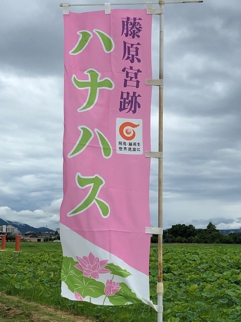 f:id:xnorico:20190711202401j:plain f:id:xnorico:20190711202401j:plain