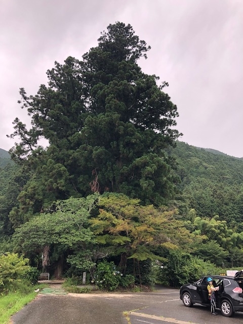 f:id:xnorico:20190714181928j:plain