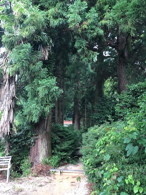 f:id:xnorico:20190714190337j:plain f:id:xnorico:20190714190337j:plain
