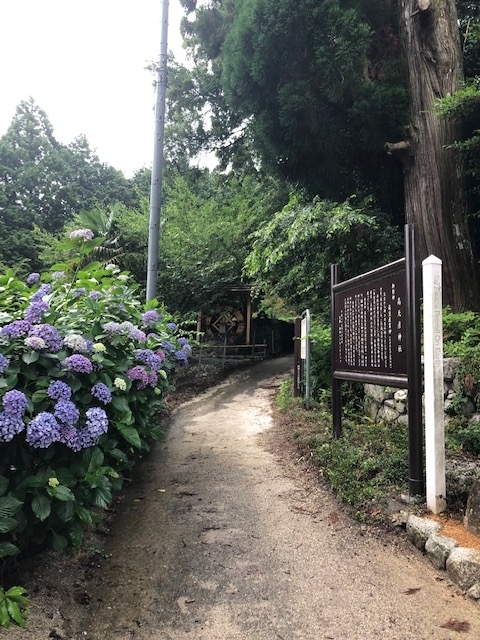 f:id:xnorico:20190714191644j:plain f:id:xnorico:20190714191644j:plain