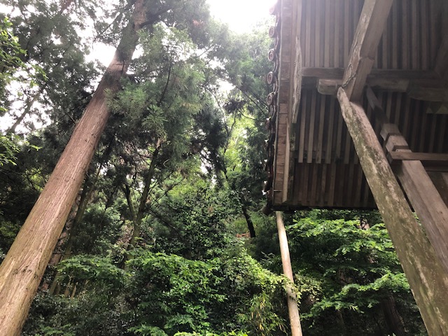 f:id:xnorico:20190714220906j:plain