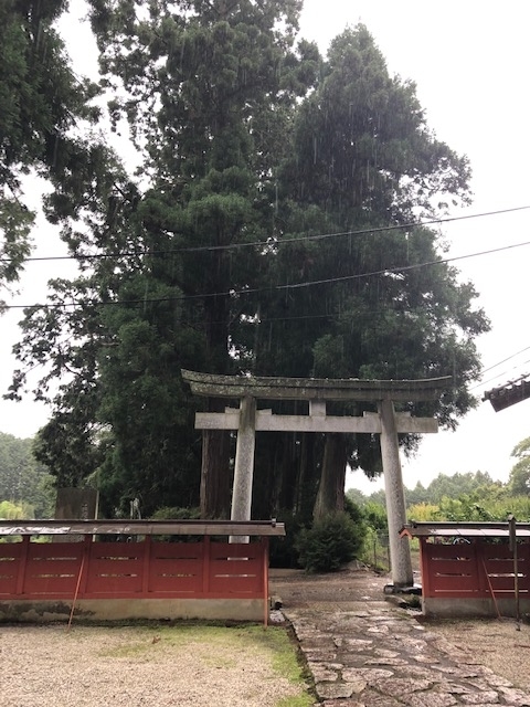 f:id:xnorico:20190714221059j:plain f:id:xnorico:20190714221059j:plain