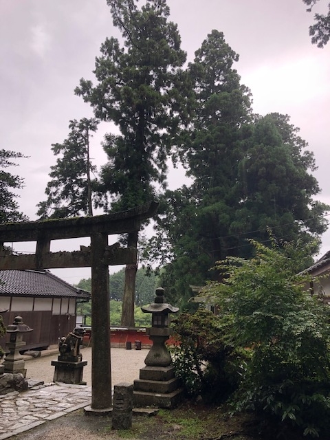 f:id:xnorico:20190714221128j:plain f:id:xnorico:20190714221128j:plain