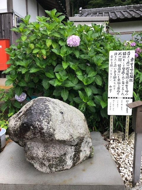 f:id:xnorico:20190714222422j:plain