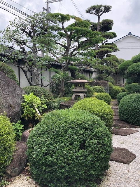 f:id:xnorico:20190714230300j:plain f:id:xnorico:20190714230300j:plain