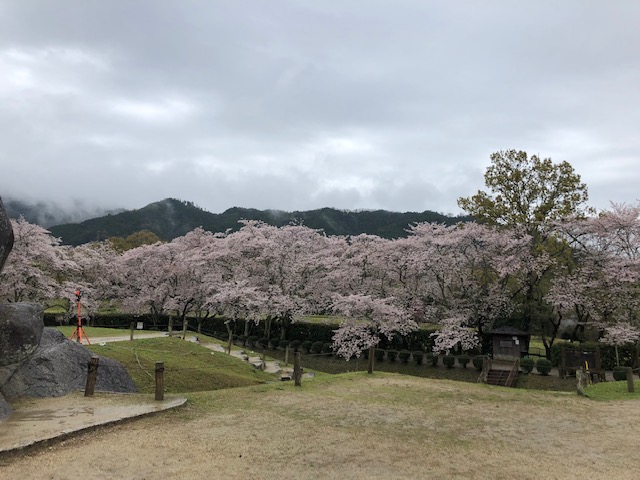 f:id:xnorico:20190716003056j:plain f:id:xnorico:20190716003056j:plain