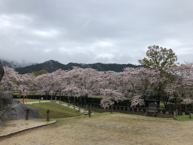 春の石舞台古墳"