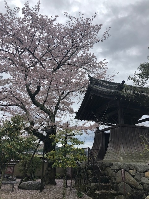 f:id:xnorico:20190716014755j:plain f:id:xnorico:20190716014755j:plain