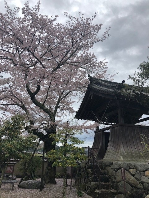 飛鳥寺庭鐘楼