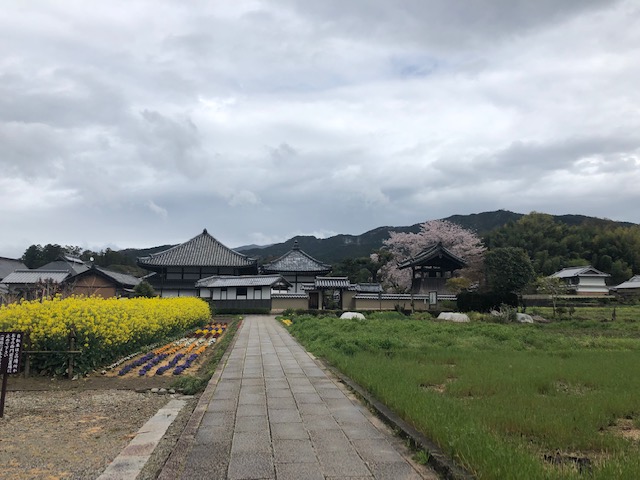入鹿の首塚から見た飛鳥寺
