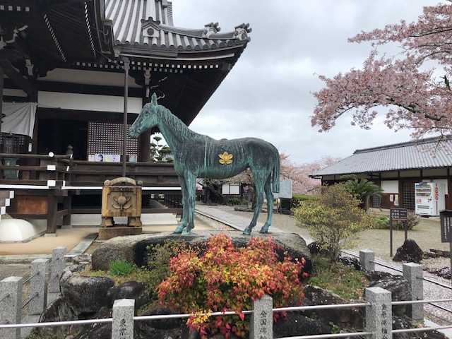 橘寺黒駒像