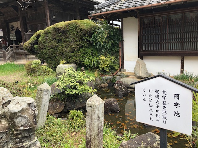 橘寺庭