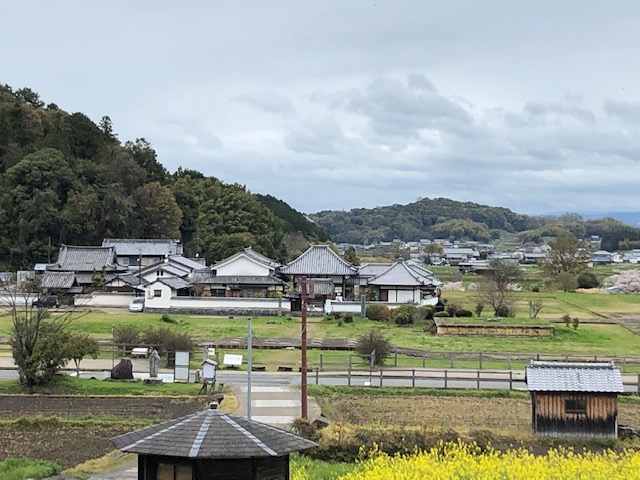 橘寺から見た川原寺跡