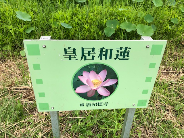 f:id:xnorico:20190718174921j:plain f:id:xnorico:20190718174921j:plain