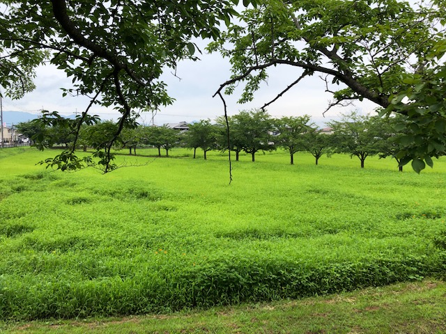 f:id:xnorico:20190718192516j:plain f:id:xnorico:20190718192516j:plain