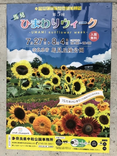 f:id:xnorico:20190720194913j:plain f:id:xnorico:20190720194913j:plain